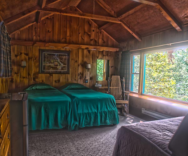 2 beds next to large window