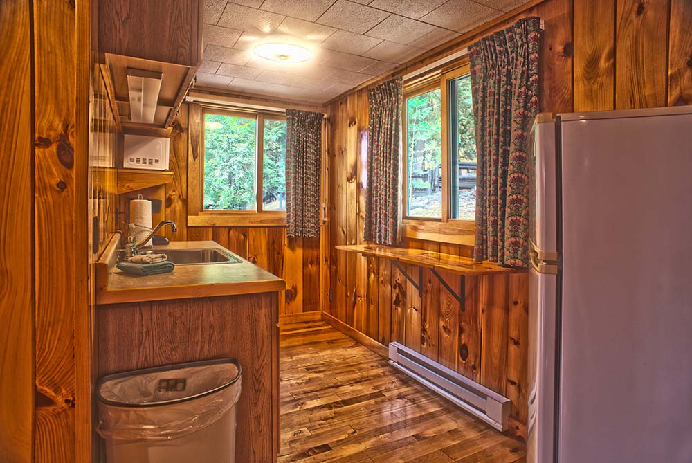 small kitchen with wood paneling